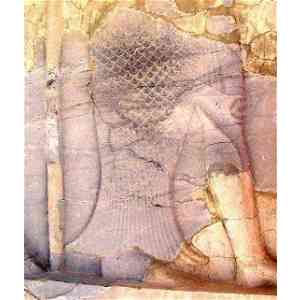 Click para ampliar. Pulsa en el nombre para ver la ficha. Oanes 5